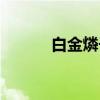 白金燐子（关于白金燐子介绍）