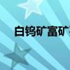 白钨矿富矿石（关于白钨矿富矿石介绍）
