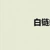 白链蛇(关于白链蛇介绍) 白链蛇(关于白链蛇介绍)