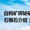 白钨矿辉铋矿与石榴石（关于白钨矿辉铋矿与石榴石介绍）