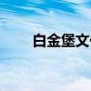 白金堡文化（关于白金堡文化介绍）