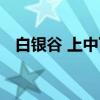 白银谷 上中下（关于白银谷 上中下介绍）