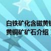 白铁矿化含磁黄铁矿黄铜矿矿石（关于白铁矿化含磁黄铁矿黄铜矿矿石介绍）