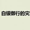 白银御行的灾难（关于白银御行的灾难介绍）