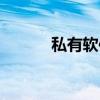 私有软件（关于私有软件介绍）