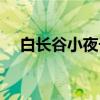 白长谷小夜子(关于白长谷小夜子介绍) 白长谷小夜子(关于白长谷小夜子介绍)