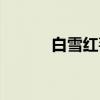 白雪红莓（关于白雪红莓介绍）