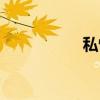 私恨（关于私恨介绍）
