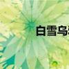 白雪乌鸦（关于白雪乌鸦介绍）