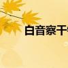 白音察干镇（关于白音察干镇介绍）