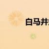 白马井站（关于白马井站介绍）
