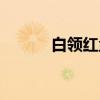 白领红尘（关于白领红尘介绍）