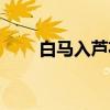 白马入芦花（关于白马入芦花介绍）