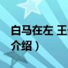 白马在左 王子在右（关于白马在左 王子在右介绍）