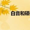 白音和硕村（关于白音和硕村介绍）