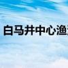 白马井中心渔港（关于白马井中心渔港介绍）