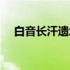 白音长汗遗址（关于白音长汗遗址介绍）