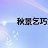秋景乞巧文（关于秋景乞巧文介绍）