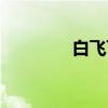 白飞飞（关于白飞飞介绍）