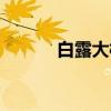 白露大桥（关于白露大桥介绍）