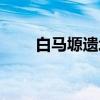 白马塬遗址（关于白马塬遗址介绍）