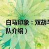 白马印象：双胡与交响乐队（关于白马印象：双胡与交响乐队介绍）