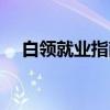 白领就业指南（关于白领就业指南介绍）