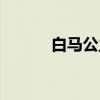 白马公主（关于白马公主介绍）