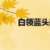 白领蓝头鹊(关于白领蓝头鹊介绍) 白领蓝头鹊(关于白领蓝头鹊介绍)