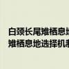 白颈长尾雉栖息地选择机制与保护对策研究（关于白颈长尾雉栖息地选择机制与保护对策研究介绍）