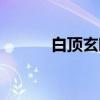 白顶玄鸥（关于白顶玄鸥介绍）