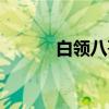白领八哥（关于白领八哥介绍）