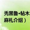 秃黑鲁·帖木儿汗麻札（关于秃黑鲁·帖木儿汗麻札介绍）