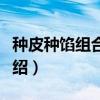 种皮种馅组合汤圆（关于种皮种馅组合汤圆介绍）