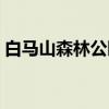 白马山森林公园（关于白马山森林公园介绍）