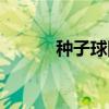 种子球队（关于种子球队介绍）