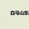 白马山东路（关于白马山东路介绍）