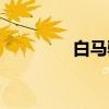 白马驿（关于白马驿介绍）
