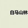 白马山林场（关于白马山林场介绍）