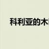 科利亚的木匣（关于科利亚的木匣介绍）