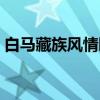 白马藏族风情园（关于白马藏族风情园介绍）