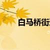 白马桥街道（关于白马桥街道介绍）