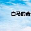 白马的奇迹（关于白马的奇迹介绍）