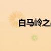 白马岭之战（关于白马岭之战介绍）