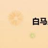 白马泉（关于白马泉介绍）