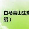 白马雪山生态画展（关于白马雪山生态画展介绍）