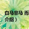 白马非马 而是冰山（关于白马非马 而是冰山介绍）