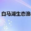 白马湖生态渔村（关于白马湖生态渔村介绍）