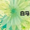 白马竞(关于白马竞介绍) 白马竞(关于白马竞介绍)