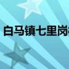 白马镇七里岗村（关于白马镇七里岗村介绍）